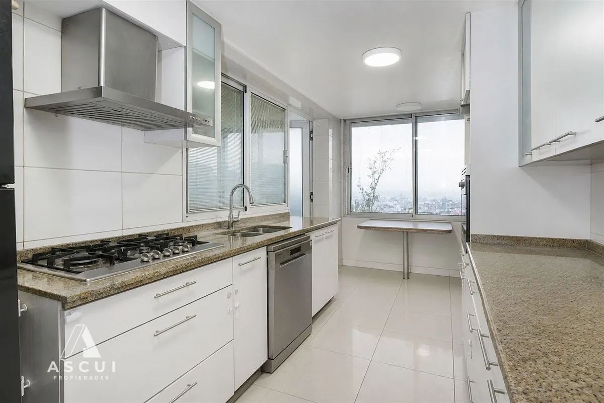 Imagen 2 de 24 de Departamento Providencia 3d3b Estar Azotea Privada De 175 M2