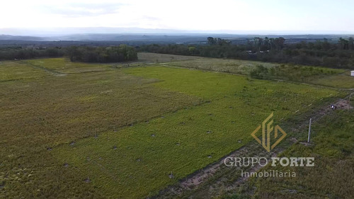 Imagen 19 de 29 de Lotes En Quillinzo