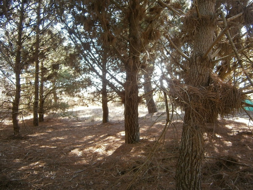 Lote De Terreno