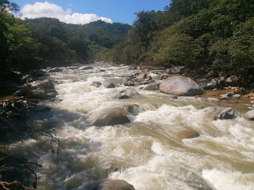 Imagen 6 de 7 de Riverside Restaurant Opportunity