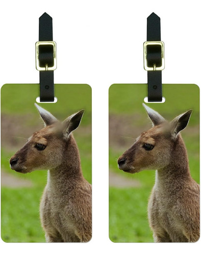 Graphics & More Kangaroo-australia Etiquetas De Equipaje Aus