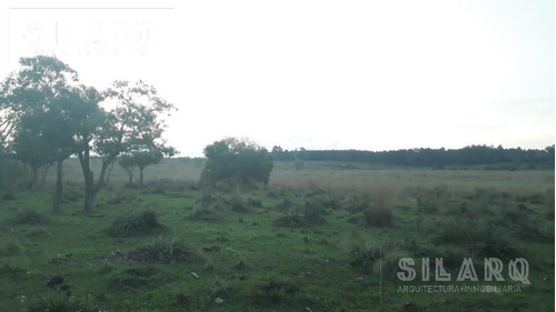 Imagen 29 de 30 de Chacra - Posadas
