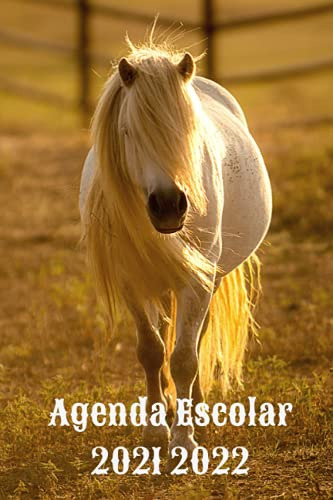 Agenda Escolar 2021 2022: Caballos Blancos Diario Para Estud