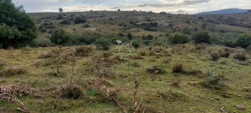 Campo En Carape Son 42 Hs 2293 M2