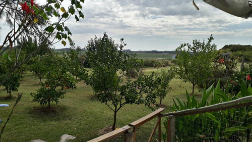 Chacra - Colonia Del Sacramento