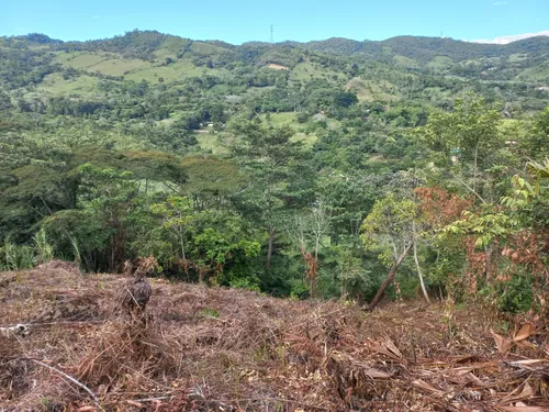 Venta De Lote En Villeta, Vereda Cune