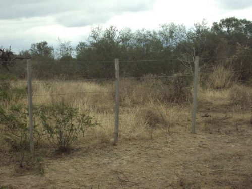 Imagen 3 de 9 de Campo Ganadero En Venta En Santiago Del Estero