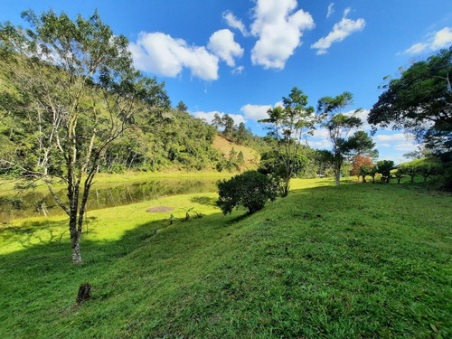 Imagem 25 de 30 de (110.000,00 M²) Lindo Imóvel À Venda, Com Boa Área Em Pasto E Com Infraestrutura Completa Para Montar Um Pesqueiro Ou Alugar Para Eventos. - 110 - 71036149