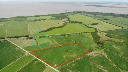 Imagen 3 de 8 de Martin Chico, Colonia - Campo Agricola A 20km De Carmelo