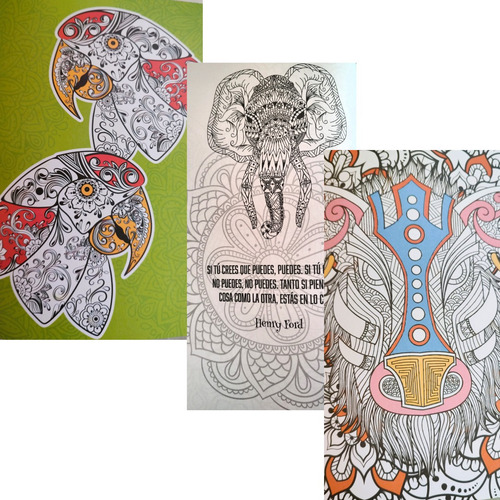 Libros De Colorear Mandalas De Animales