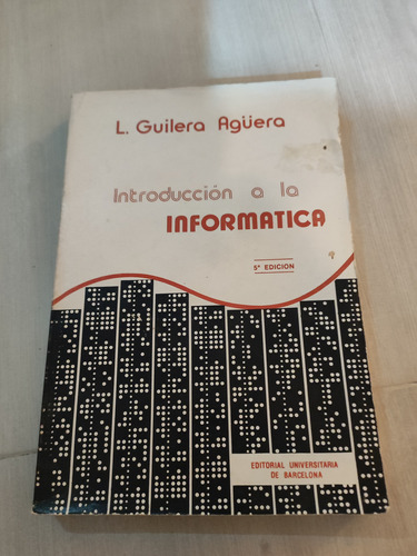 Libro Introducción Amla Informatica