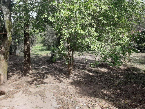 Imagem 11 de 30 de Chácara Com 1 Dormitório À Venda, 2000 M² Por R$ 290.000,00 - Godinho - Piracicaba/sp - Ch0111