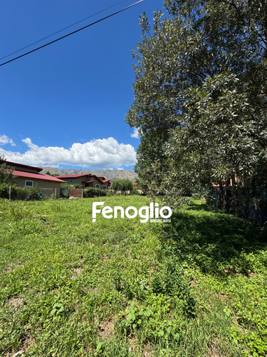 Terreno - Merlo