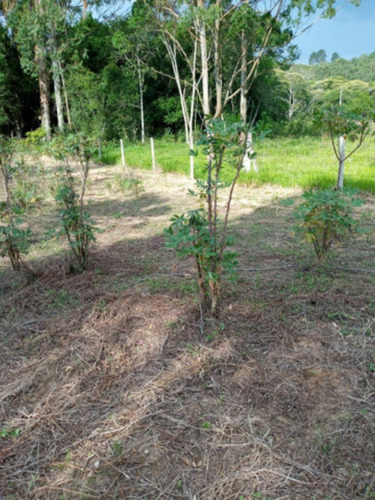 Chácara À Venda No Bairro Verava Em Ibiúna - Ch00331 - 69204733