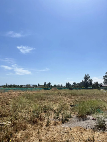 Exclusiva Parcela Talagante, Las Palmas Del Oliveto