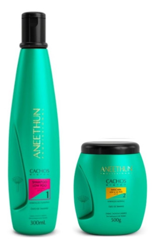 Kit Aneethun Cachos System Shampoo 300ml + Máscara 500g