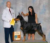 Comprar Cachorros Doberman 35 Campeones Registro Fcm