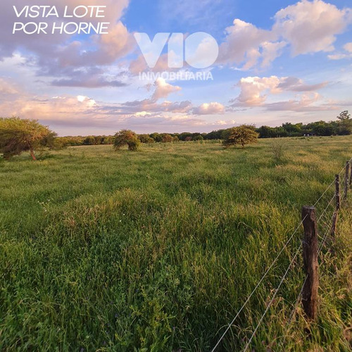Lote En El Ejido San José