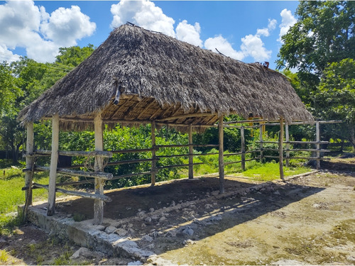 Rancho Ganadero En Venta, Propiedad Privada, 453 Has, Con Cenotes