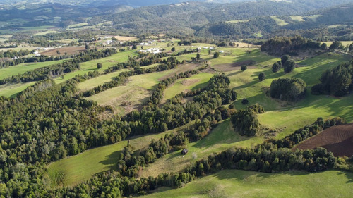 Imagen 15 de 16 de Campito De 7ha Mirador Del Mañio - Los Muermos