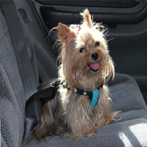Arnes Pretal De Seguridad Para Perros Autos Viajes Seguros