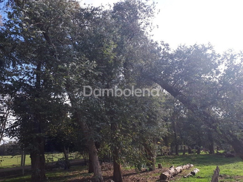 Imagen 4 de 7 de Terreno Campo En Venta Ubicado En General Rodríguez, G.b.a. Zona Oeste