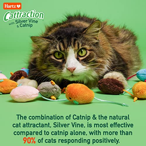 Paq Variado De Juguetes Para Gatos Cattraction Con Enredader