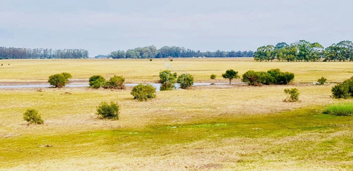 Imagen 8 de 13 de Campo De 20 Has Muy Cerca Del Faro Jose Ignacio - Consulte !!!!!! - Jose Ignacio