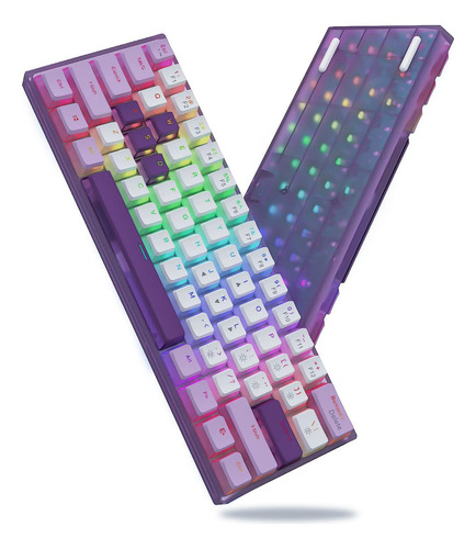 Womier Wk61 - Teclado Morado  Teclado Mecnico 60%, Teclado R