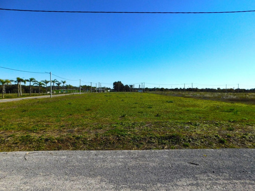 Venta Lote En El Lazo En Exaltacion De La Cruz