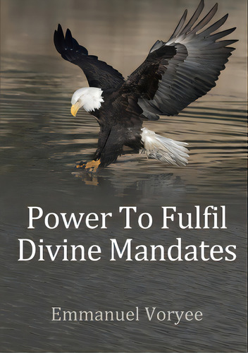 Power To Fulfil Divine Mandates, De Voryee, Emmanuel. Editorial Lulu Pr, Tapa Blanda En Inglés