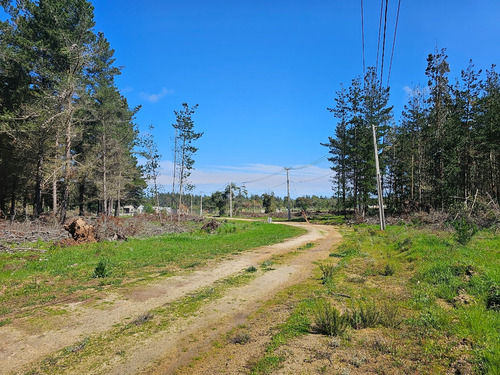 Hacienda Algarrobo, 5000 M2,portería, Rol, Red De Luz Y Agua