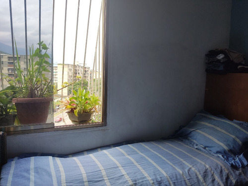Imagen 15 de 16 de Apartamento Menca De Leoni (27 De Febrero)