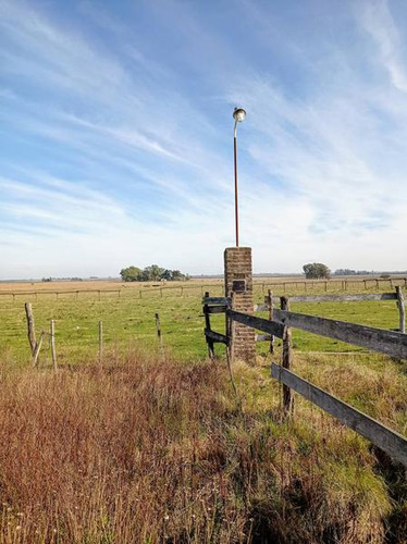 Imagen 20 de 23 de Campo Agrícola En Gualeguaychú (camino De Rojas)