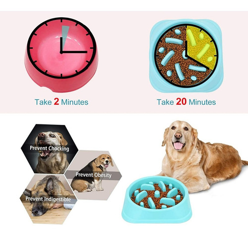 Plato De Alimentación Lenta Con Obstáculos Para Perros