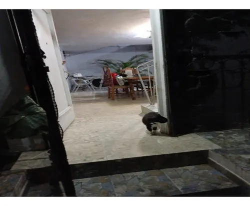 Casa Lote En San Javier