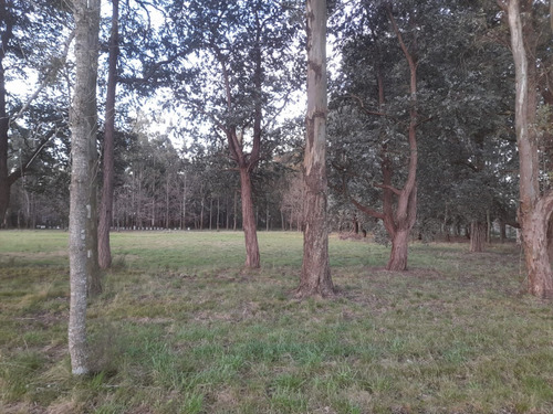 Particular Alquila Parcela/lote En Zona Ruta 36 La Plata