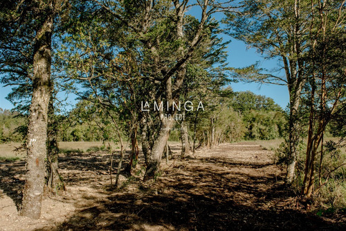 Sitio En Venta En Los Muermos