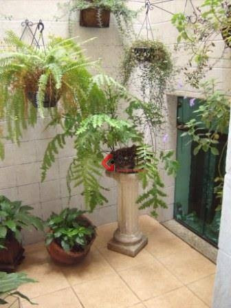 Imagem 12 de 30 de Sobrado Com 5 Dormitórios À Venda, 459 M² Por R$ 2.350.000 - Chácara Inglesa - São Bernardo Do Campo/sp - So0062