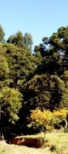 Imagem 9 de 30 de Sítio Em Meio As Montanhas A Venda - Bueno Brandão/mg - Si0015