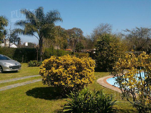 Quinta - Luis Guillon - Ideal Emprendimiento