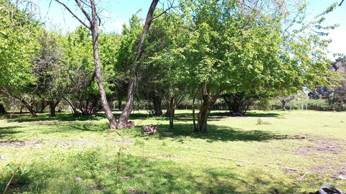 Imagen 2 de 8 de Hermoso Lote En Tortuguitas En Zona De Quintas
