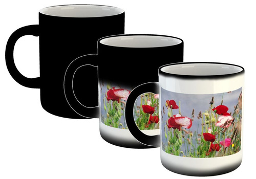 Taza Magica Flores Colores Naturaleza Plantas Paisaje M10