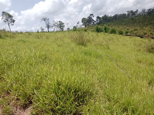 Imagem 7 de 14 de K.a - 600m² Otima Topografia Venha Conferir