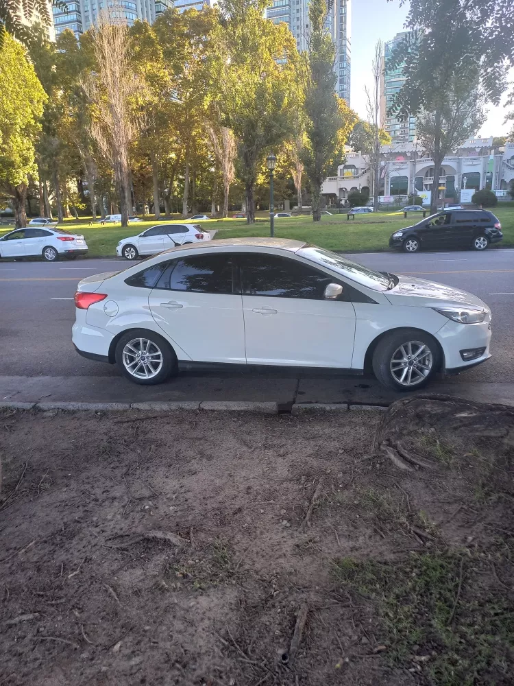 Ford Focus For Focus 1.6 S 2019
