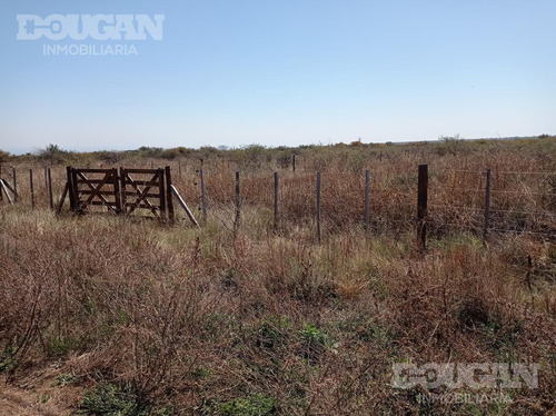 Imagen 5 de 15 de Terreno - Villa Larca