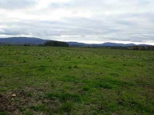 Campo De 6 Has 932 M 2 Ubicado En Ruta 60