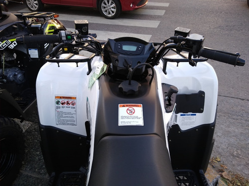 Imagen 8 de 16 de Kawasaki Brute Force 300 (no Honda 420) 12 Y 18 Sin Interes