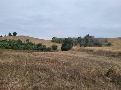 Imagen 3 de 13 de Agrícola En Venta En Galvarino