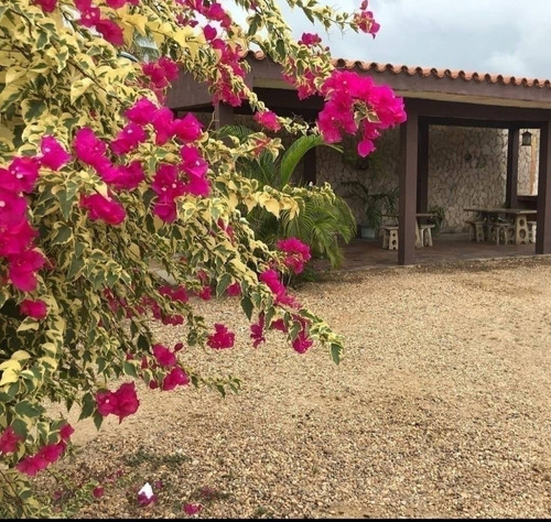 Imagen 2 de 14 de 438251 Anthony M 0424-4338703 Venta Posada Chichiriviche